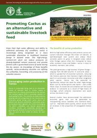 Cactusnet: Promoting the social and ecological benefits of cactus production: Promoting Cactus as an alternative and sustainable livestock feed Cactusnet: Promoting the social and ecological benefits of cactus production: Promoting Cactus as an alternative and sustainable livestock feed