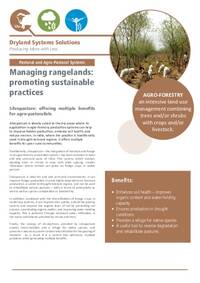 Managing rangelands: promoting sustainable shrub species: Silvopasture: offering multiple benefits for agro-pastoralists Managing rangelands: promoting sustainable shrub species: Silvopasture: offering multiple benefits for agro-pastoralists