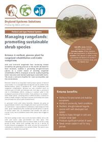 Managing rangelands: promoting sustainable shrub species: Retama: A resilient, pioneer plant for rangeland rehabilitation and stable ecosystems Managing rangelands: promoting sustainable shrub species: Retama: A resilient, pioneer plant for rangeland rehabilitation and stable ecosystems