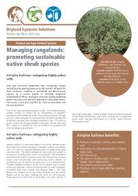 Managing rangelands: promoting sustainable native shrub species: Atriplex halimus: mitigating highly saline soils Managing rangelands: promoting sustainable native shrub species: Atriplex halimus: mitigating highly saline soils