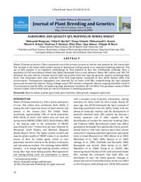 AGRONOMIC AND QUALITY QTL MAPPING IN SPRING WHEAT