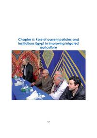 Role of current policies and institutions Egypt in improving irrigated agriculture Role of current policies and institutions Egypt in improving irrigated agriculture