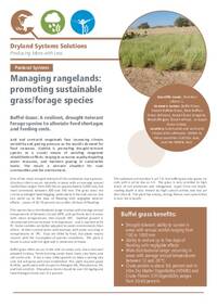 Managing rangelands: promoting sustainable grass/forage species: Buffel Grass: A resilient, drought-tolerant forage species to alleviate feed shortages and feeding costs Managing rangelands: promoting sustainable grass/forage species: Buffel Grass: A resilient, drought-tolerant forage species to alleviate feed shortages and feeding costs
