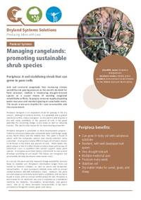 Managing rangelands: promoting sustainable shrub species: Periploca: A soil stabilizing shrub that can grow in poor soils Managing rangelands: promoting sustainable shrub species: Periploca: A soil stabilizing shrub that can grow in poor soils