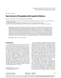 Race structure of Pyrenophora tritici-repentis in Morocco Race structure of Pyrenophora tritici-repentis in Morocco