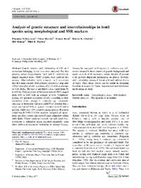 Analysis of genetic structure and interrelationships in lentil species using morphological and SSR markers