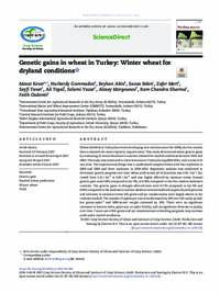 Genetic gains in wheat in Turkey: winter wheat for dryland conditions Genetic gains in wheat in Turkey: winter wheat for dryland conditions