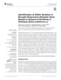Identification and allelic variation of drought responsive dehydrin gene based on sequence similarity in chickpea (Cicer arietinum L.) Identification and allelic variation of drought responsive dehydrin gene based on sequence similarity in chickpea (Cicer arietinum L.)