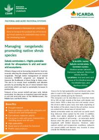 Managing rangelands: promoting native shrub species, Salsola vermiculata L.: Highly palatable shrub for silvopasture in arid and semi-arid ecosystems Managing rangelands: promoting native shrub species, Salsola vermiculata L.: Highly palatable shrub for silvopasture in arid and semi-arid ecosystems