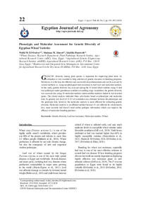 Phenotypic and Molecular Assessment for Genetic Diversity of Egyptian Wheat Varieties Phenotypic and Molecular Assessment for Genetic Diversity of Egyptian Wheat Varieties