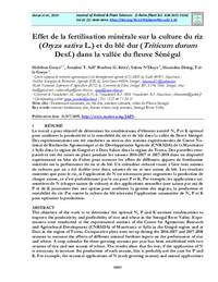 Effet de la fertilisation minérale sur la culture du riz ( Oryza sativa L.) et du blé dur ( Triticum durum Desf.) dans la vallée du fleuve Sénégal Effet de la fertilisation minérale sur la culture du riz ( Oryza sativa L.) et du blé dur ( Triticum durum Desf.) dans la vallée du fleuve Sénégal