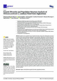 Genetic Diversity and Population Structure Analysis of Triticum aestivum L. Landrace Panel from Afghanistan Genetic Diversity and Population Structure Analysis of Triticum aestivum L. Landrace Panel from Afghanistan