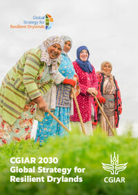 CGIAR 2030 Global Strategy for Resilient Drylands CGIAR 2030 Global Strategy for Resilient Drylands