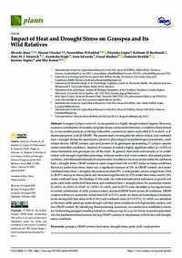 Impact of Heat and Drought Stress on Grasspea and Its Wild Relatives