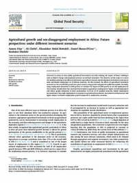 Agricultural growth and sex-disaggregated employment in Africa: Future perspectives under different investment scenarios