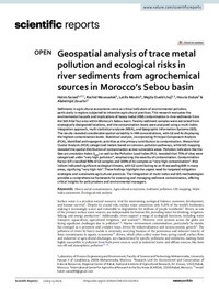 Geospatial analysis of trace metal pollution and ecological risks in river sediments from agrochemical sources in Morocco’s Sebou basin