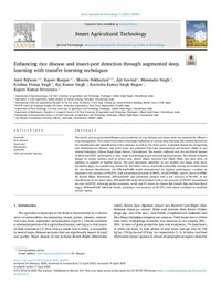 Enhancing rice disease and insect-pest detection through augmented deep learning with transfer learning techniques