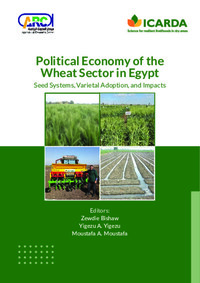 Political Economy of the  Wheat Sector in Egypt: Seed Systems, Varietal Adoption, and Impacts Political Economy of the  Wheat Sector in Egypt: Seed Systems, Varietal Adoption, and Impacts