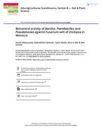 Biocontrol activity of Bacillus, Paenibacillus and Pseudomonas against Fusarium wilt of chickpea in Morocco