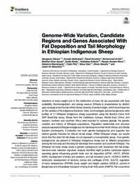Genome-Wide Variation, Candidate Regions and Genes Associated With Fat Deposition and Tail Morphology in Ethiopian Indigenous Sheep Genome-Wide Variation, Candidate Regions and Genes Associated With Fat Deposition and Tail Morphology in Ethiopian Indigenous Sheep