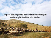 Impact of Rangeland Rehabilitation Strategies on Drought Resilience in Jordan Impact of Rangeland Rehabilitation Strategies on Drought Resilience in Jordan