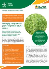 Managing silvopastures: promoting native legume species; Lathyrus sativus L.: a Neolithic dual purpose annual legume grown for its seeds for human consumption, and fodder for livestock feeding Managing silvopastures: promoting native legume species; Lathyrus sativus L.: a Neolithic dual purpose annual legume grown for its seeds for human consumption, and fodder for livestock feeding