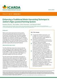 Enhancing a Traditional Water Harvesting Technique in Jordan’s Agro-pastoral Farming System Enhancing a Traditional Water Harvesting Technique in Jordan’s Agro-pastoral Farming System