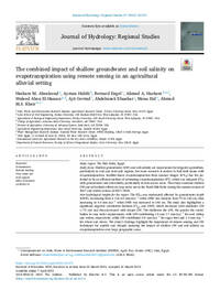 The combined impact of shallow groundwater and soil salinity on  evapotranspiration using remote sensing in an agricultural  alluvial setting