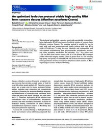 An optimized isolation protocol yields high-quality RNA from cassava tissues (Manihot esculenta Crantz) An optimized isolation protocol yields high-quality RNA from cassava tissues (Manihot esculenta Crantz)