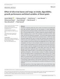 Effect of olive tree leaves and twigs on intake, digestibility, growth performance and blood variables of Shami goats Effect of olive tree leaves and twigs on intake, digestibility, growth performance and blood variables of Shami goats