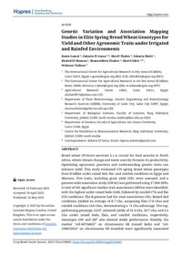 Genetic Variation and Association Mapping Studies in Elite Spring Bread Wheat Genotypes for Yield and Other Agronomic Traits under Irrigated and Rainfed Environments