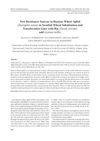 New resistance sources to Russian wheat aphid (Diuraphis noxia) in Swedish wheat substitution and translocation lines with rye (Secale cereale) and Leymus mollis