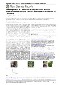 First report of a ‘Candidatus Phytoplasma asteris’ isolate associated with banana elephantiasis disease in Colombia First report of a ‘Candidatus Phytoplasma asteris’ isolate associated with banana elephantiasis disease in Colombia