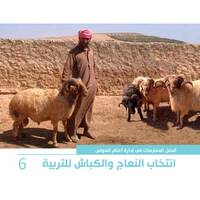 أفضل الممارسات في إدارة أغنام العواس 6 - انتخاب النعاج والكباش للتربية أفضل الممارسات في إدارة أغنام العواس 6 - انتخاب النعاج والكباش للتربية