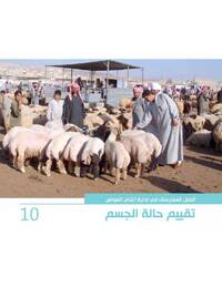 أفضل الممارسات في إدارة أغنام العواس 10 – تقييم حالة الجسم أفضل الممارسات في إدارة أغنام العواس 10 – تقييم حالة الجسم