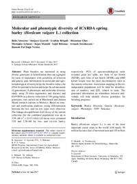 Molecular and phenotypic diversity of ICARDA spring barley (Hordeum vulgare L.) collection Molecular and phenotypic diversity of ICARDA spring barley (Hordeum vulgare L.) collection