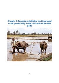 Towards sustainable and improved water productivity in the old lands of the Nile Delta Towards sustainable and improved water productivity in the old lands of the Nile Delta