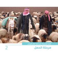 أفضل الممارسات في إدارة أغنام العواس 2 - مرحلة الحمل أفضل الممارسات في إدارة أغنام العواس 2 - مرحلة الحمل