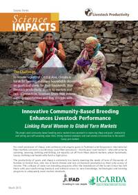 Linking Livestock Producers and Rural Women to Global Yarn Markets Linking Livestock Producers and Rural Women to Global Yarn Markets