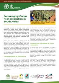 Cactusnet: Promoting the social and ecological benefits of cactus production: Encouraging Cactus Pear production in South Africa Cactusnet: Promoting the social and ecological benefits of cactus production: Encouraging Cactus Pear production in South Africa
