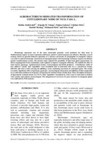 Agrobacterium-mediated transformation of cotyledonary node of Vicia faba L.