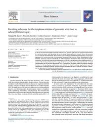 Breeding schemes for the implementation of genomic selection in wheat (Triticum spp.)