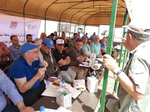 ICARDA Field day