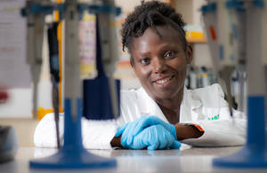 Genotyping finger millet samples.