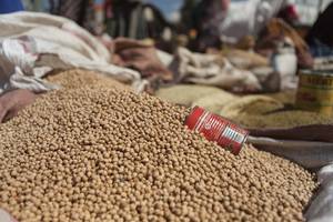 Agricultural growth and sex-disaggregated employment in Africa: Future perspectives under different investment scenarios