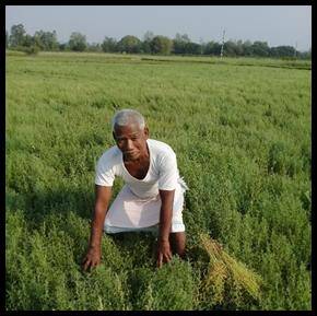 Mr. Bishwanath Choudary, Nepal 