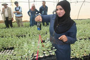 Inspecting variety of forage in Afghanistan