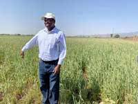 Mr. Fregene at the TAAT in Ethiopia