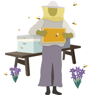 Beekeeper and hive