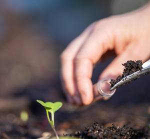 Soil Health